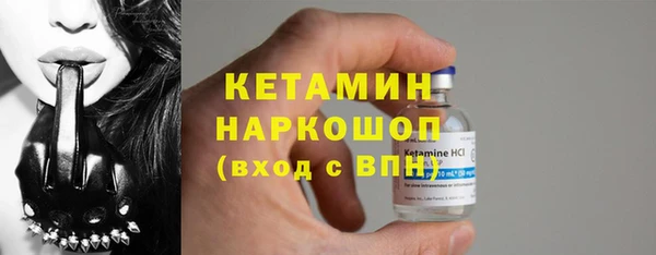 СК Новодвинск